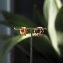 Nepali Marwari Hoops